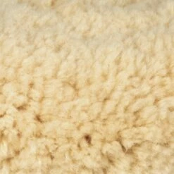 Makita MAK192629-7 7-Inch Hook and Loop Pad for 9227C Sander/Polisher -Deals Makita Tools Store 81U9OOMlwVL. AC SL1500